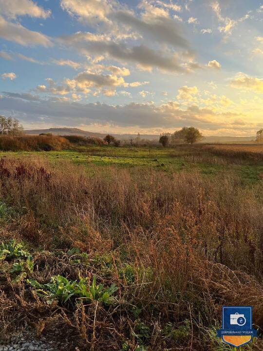 Редукціон. Зем. ділянка (1,6377 га) у Чернівецькій обл. - Photo