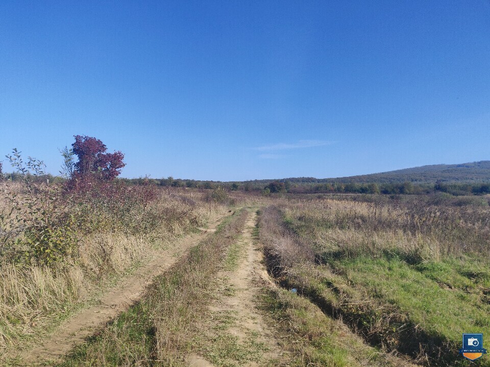 Зем. ділянка (0,24 га) в Закарпатській обл. - Photo