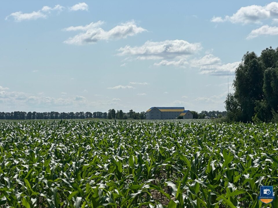 Земельні ділянки у Київській обл. - Photo
