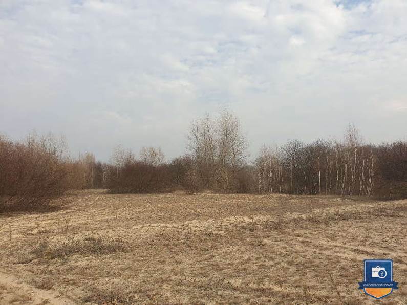 2 земельні ділянки у Київській області - Photo