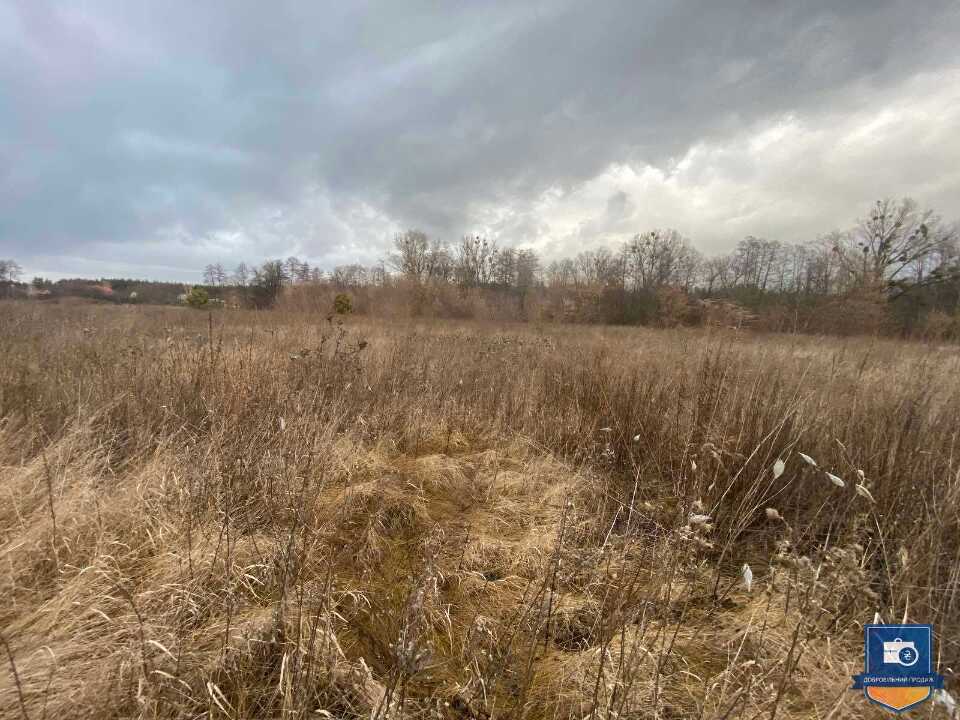Редукціон. Зем. ділянка (0,189 га) в Київській обл. - Photo