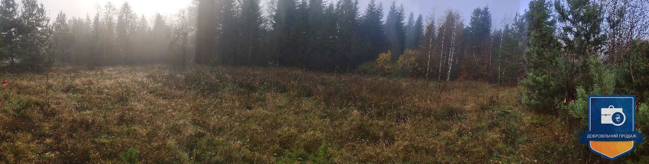 Земельна ділянка (0,1 га) в Ів.-Франківській обл. - Photo