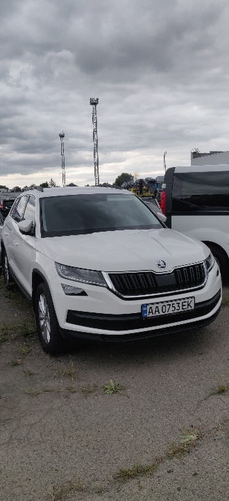 Цвет 0q0q skoda