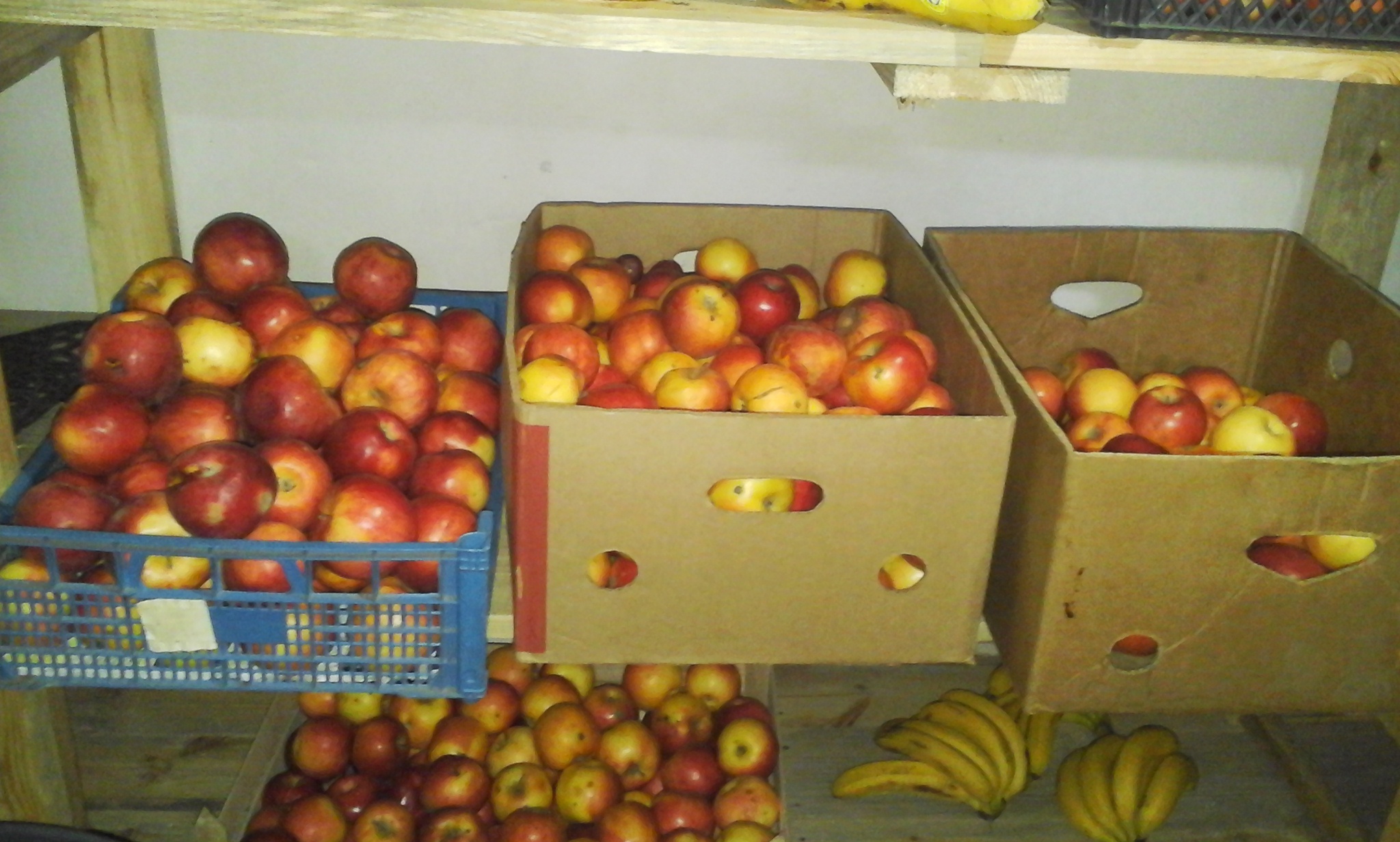 Яблука вагою 51,700 кг