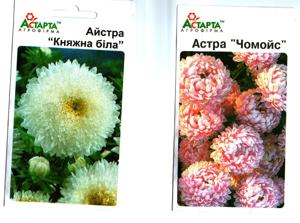Насіння  квітів  в асортименті:  42 картонних ящика, 22660  пакетів