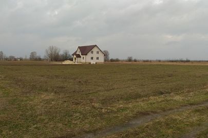 Земельна ділянка, площею 2500 м кв., кадастровий номер 0724283400:01:000:0034, за адресою: Волинська область, Ратнівський район, с.Заброди, вул.Нова.