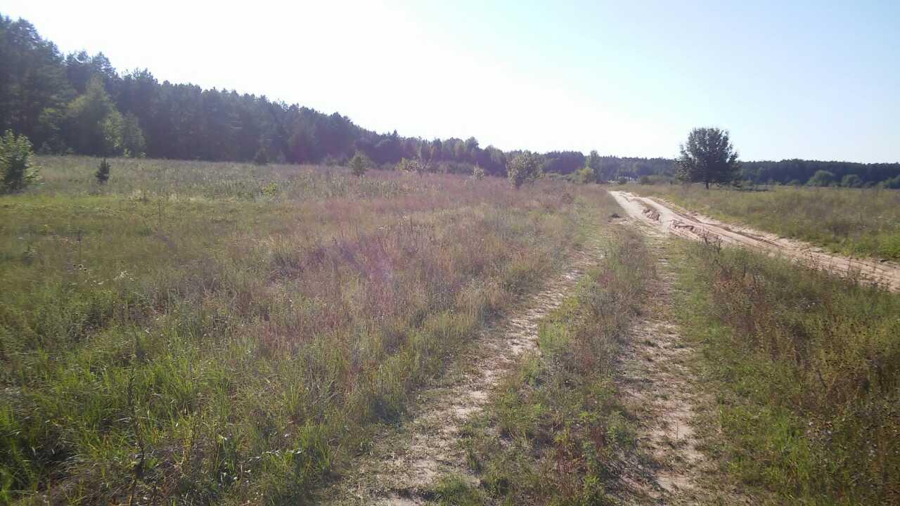 Іпотека. Земельна ділянка, загальною площею 0.2000 га, К/Н: 3222783800:03:005:0141, що знаходиться за адресою: Київська обл., Макарівський р-н, Липівська с/р