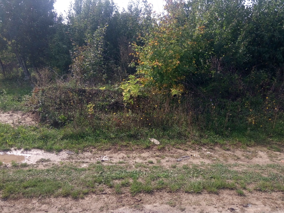 Предмет іпотеки. Земельна ділянка площею 0,1889 га, кадастровий номер: 0520682803:02:001:0025, яка розташована за адресою: Вінницька область, Вінницький район, с. Лука-Мелешківська, вул. Староміська, 171 А