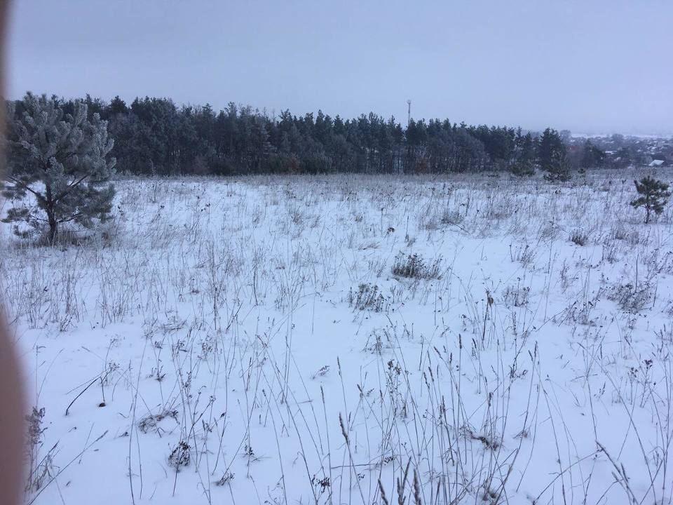 Земельна ділянка ,площею 0.3726 га, кадастровий номер 3222786101:01:013:0062, що розташована за адресою: Київська область, Макарівський район, с. Новосілки