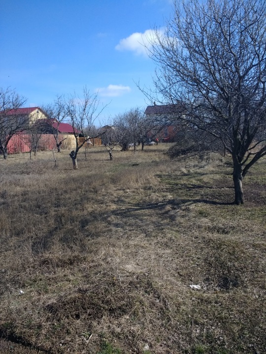 ІПОТЕКА. Земельна ділянка, загальною площею 0.0447 га, за адресою: Одеська область, Овідіопольський район, с. Молодіжне, ОГСТ