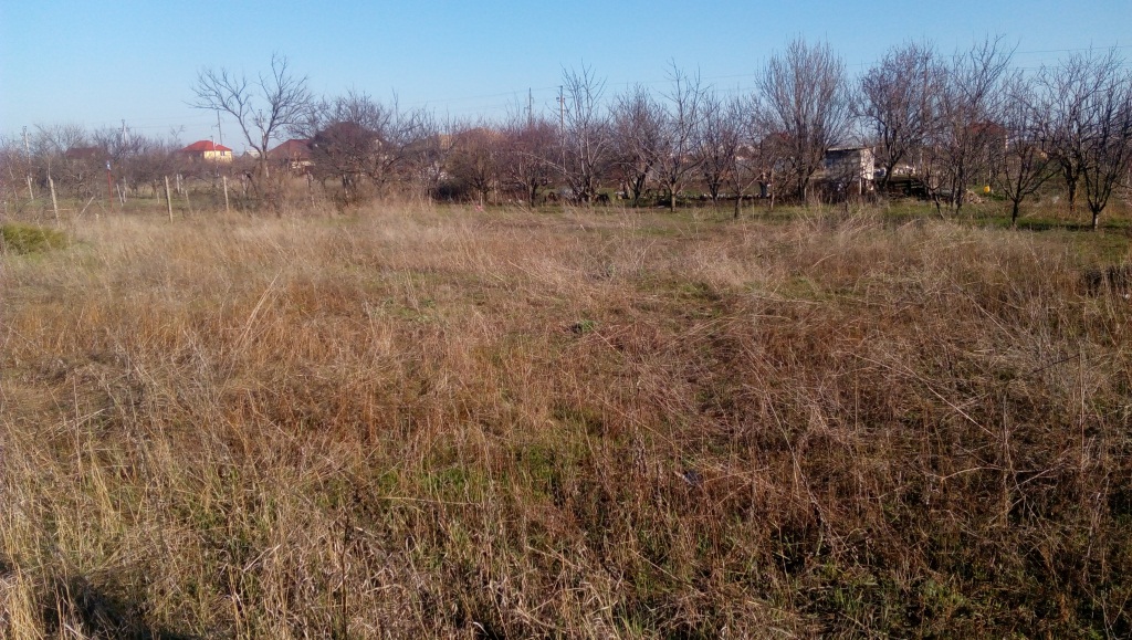 ІПОТЕКА. Земельна ділянка площею 0,0991 га, кадастровий номер: 5121056800:02:001:0045, за адресою: Одеська обл., Біляївський р-н, смт. Хлібодарське, вул. Шевченка, 9