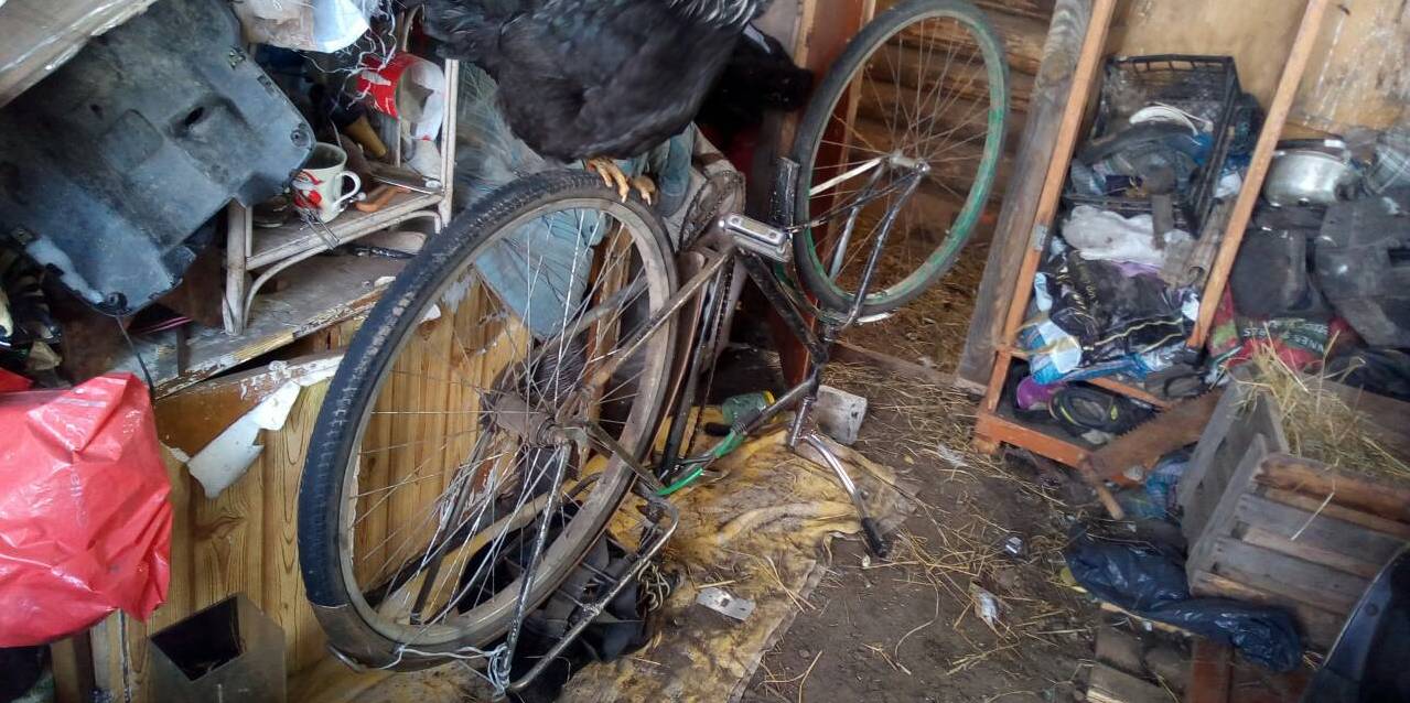 Велосипед, має пошкодження камер та покришок обох колес