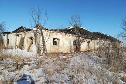 Комплекс тваринницьких будівель заг. площею 1510.3 кв.м., в т.ч телятник №4 пл. 693.6 кв.м., телятник №5 з двома тамбурами  пл. 417.2 кв.м., телятник №6 пл. 399.5 кв.м., за адресою:  Тернопільська обл., Підволочиський р-н, с. Коршилівка,вул. Центральна 7ж 