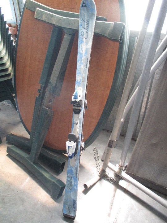 Лижі гірські, марки Fisher Exchale, блакитно-сірого кольору, б/в