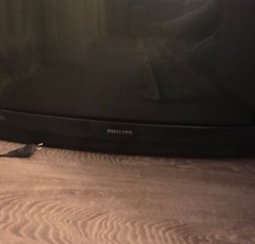 Телевізор кольоровий Philips, чорно-сірого кольору, діагональ 32, LCD