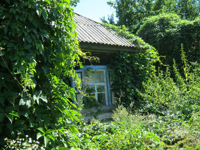 ІПОТЕКА. Житловий будинок з надвірними будівлями та спорудами, заг. площею 39.3 кв.м., що розташований за адресою: Чернігівська обл. Варвинський р-н, смт Варва, вул. Л.Товстого, 1