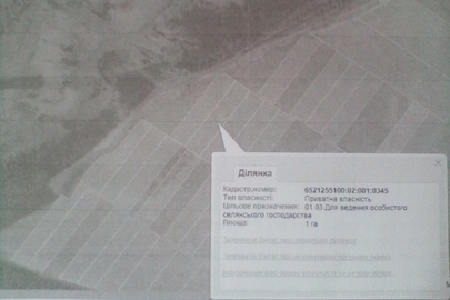 Земельна ділянка площею 1.0 га, кадастровий номер 6521255100:02:001:0345, розташована за адресою: Херсонська область, Великолепетиський район, селищна рада Великолепетиська
