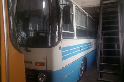 Автобус: Ikarus 260 (пасажирський) 1993 р.в, білого кольору, ДНЗ: ВВ8223АС, VIN: TPA260Е2АР2SU1203
