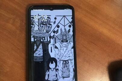 Конфіскація майна за рішенням суду: мобільний телефон Xiaomi серійний номер Ir7565jbfqeqhefa, IMEI1: 861303048740332/02, IMEI2: 861303049455336/02 із Sim-картою з номером VODAFONE Україна, в робочому стані б/в