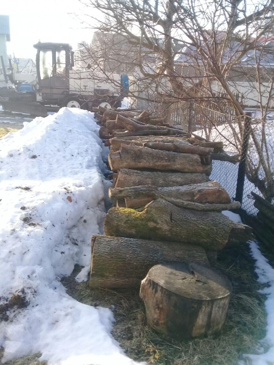 4,6 куб.м лісоматеріалів