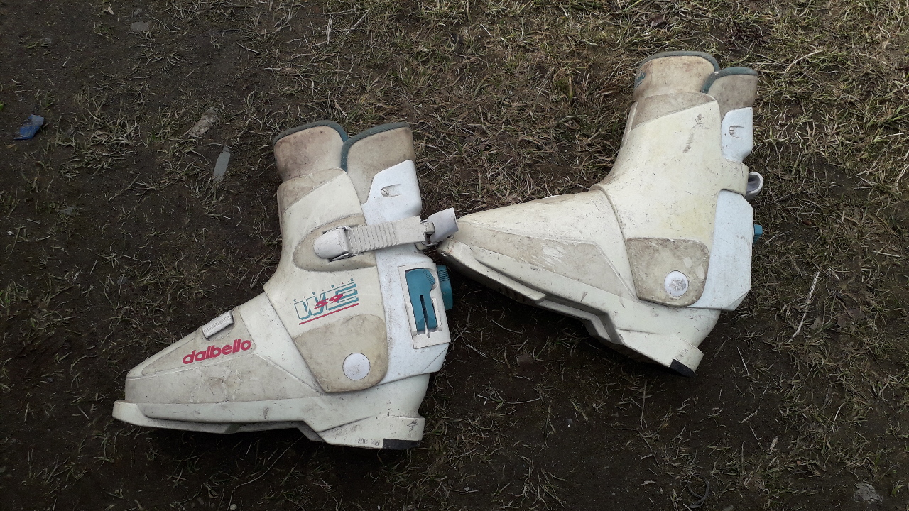 Чоботи для лиж