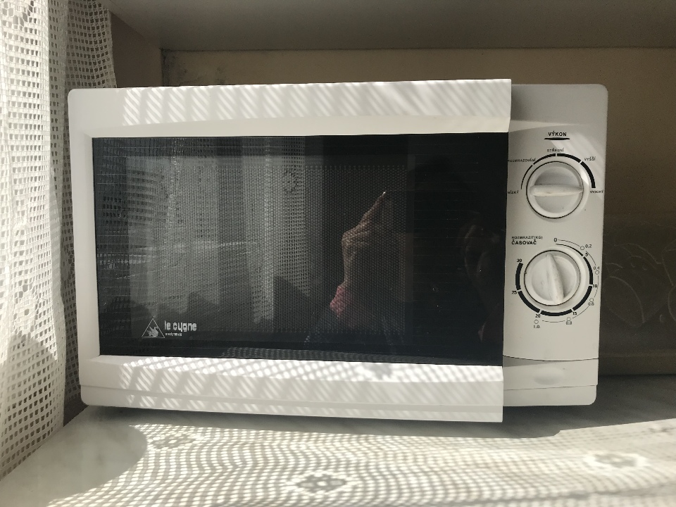 Мікрохвильова піч