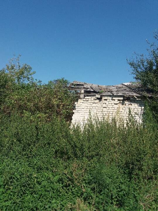 Предмет іпотеки. Пташник №1 (літ. Б-1), загальна площа: 834,0 кв.м., місцезнаходження майна: Рівненська область, Рівненський район, с. Дядьковичі, вул. Млинівська, 50