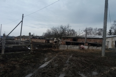 Пташник №1, загальна площа: 1232,1 кв.м., місцезнаходження майна: Рівненська область, Острозький район, с. Грем'яче, вул. Ювілейна, 8