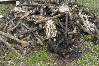 Конфісковане майно за рішенням суду: деревина твердолистих порід (клен, дуб, ясен) загальним об'ємом 5,7 куб.м.