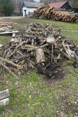 Конфісковане майно за рішенням суду: деревина твердолистих порід (клен, дуб, ясен) загальним об'ємом 5,7 куб.м.
