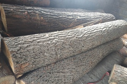 Лісодеревина породи дуб, кубомасою 2.435 м3, два зрізи нижніх частин крон дерев породи дуб, діаметром 32Х48 см та 38Х40 см