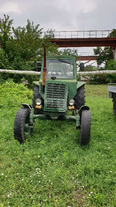 Трактор марки МТЗ, модель 80, державний номер 9876ЗГ, 1993 року випуску, зеленого кольору, шасі (кузов, рама) №9919473