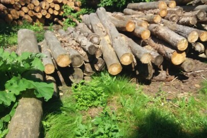 Частини стовбурів дерев породи сосни в діаметрі від 10 до 20 см., довжиною 2 м., об'єм 8 куб.м.