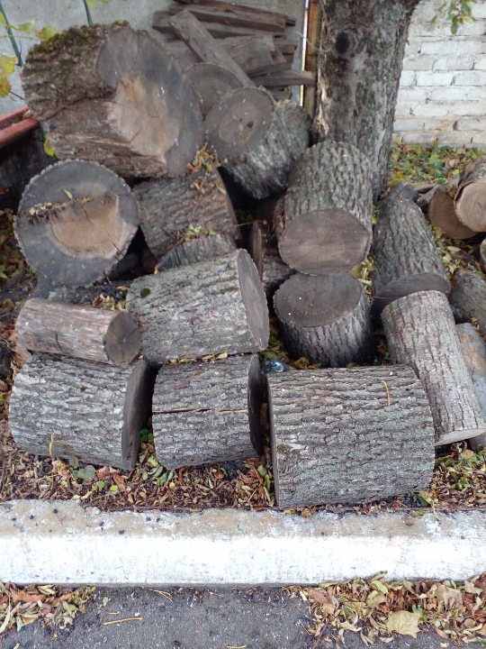 Бруски свіжо спиляного дерева породи «Акація» та породи «Ясен», орієнтовано 2,5  м³