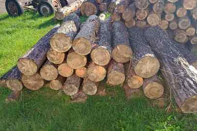 Конфісковане майно за вироком суду, колоди дерева породи сосна, загальною кубомасою 2.518 метрів кубічних