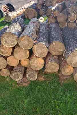Конфісковане майно за вироком суду, колоди дерева породи сосна, загальною кубомасою 2.518 метрів кубічних
