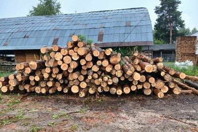 Конфіскація майна за рішенням суду: 33 колоди породи "Сосна" сироростучі довжиною близько 20 метрів кожна та 32 колоди породи "Сосна" сироростучі, довжиною близько 2 метра кожна