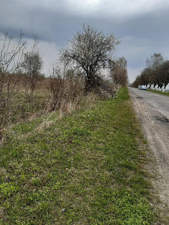 Земельна ділянка площею загальною площею 0,2148га для будівництва і обслуговування житлового будинку, господарських будівель і споруд (присадибна ділянка), кадастровий номер 0722887500:01:001:0761, в с. Шепель Луцького району, Волинської області