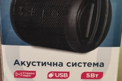 Конфіскація майна за ухвалою суду: Акустична система “Florence” чорного кольору - стан нове