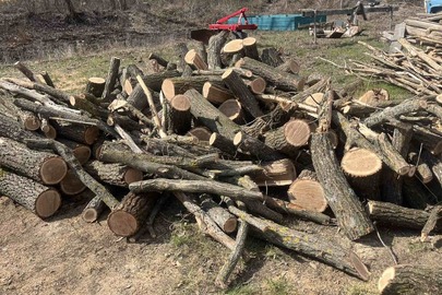 Конфісковане майно за рішенням суду: 283 фрагменти дерев (софора, акація, ясен) зі слідами спилу, загальним об'ємом 5,0 м.куб.