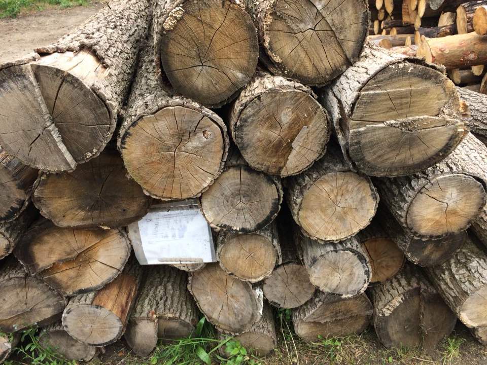 Лісоматеріали необроблені: дров'яна деревина для технологічних потреб у вигляді колод (2,665 м.куб)