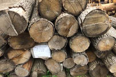 Лісоматеріали необроблені: дров'яна деревина для технологічних потреб у вигляді колод (2,665 м.куб)