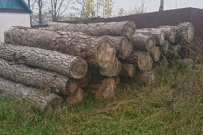 15 колод довжиною по 4 м та 55 колодок довжиною по 1 м різного діаметру (всього 19,70 м. куб)