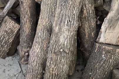 Конфісковане майно за рішенням суду: колоди дерев, у кількості 87 шт., породи "клен", "берест", "ясен" об’ємом 5,0 м³