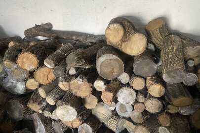 Конфісковане майно за рішенням суду: колоди дерев породи "ясен", "акація" об’ємом 3,0 м³