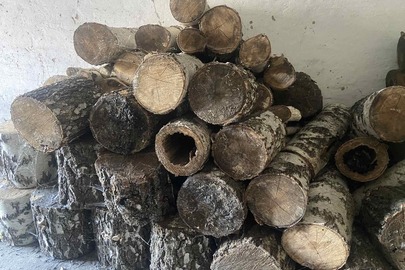 Конфісковане майно за рішенням суду: колоди дерев породи "береза" об’ємом 2,0 м³