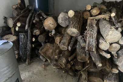 Конфісковане майно за рішенням суду: колоди дерев породи "ясен", "акація" об’ємом 2,0 м³