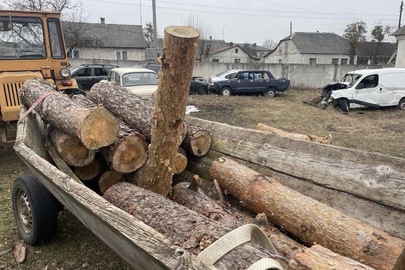 Конфіскація майна за вироком суду: гужова підвода