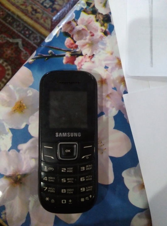Мобільний телефон Samsung SGH-X 620
