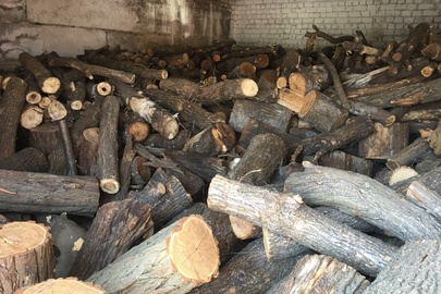 Колоди дерев'яні в загальній кількості 462 шт